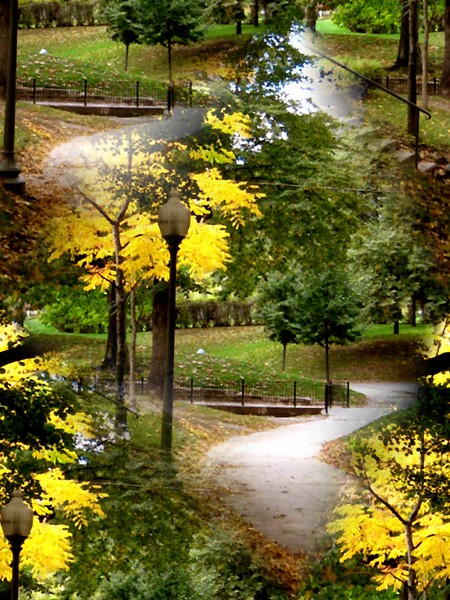 Autumn In The Park (Thirty Three)
