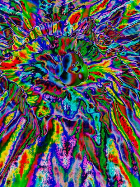 Tripping Duck
