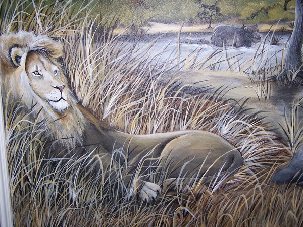 African Safari