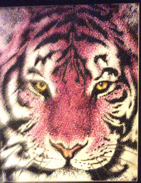 Pink Tiger