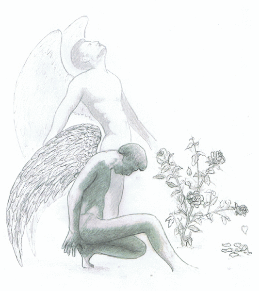 wither of a rose (sketch)