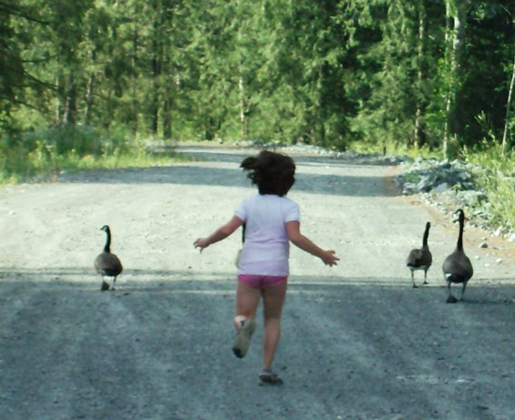 The Chase