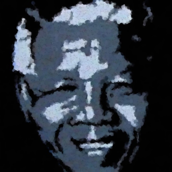 Mandela South African Icon
