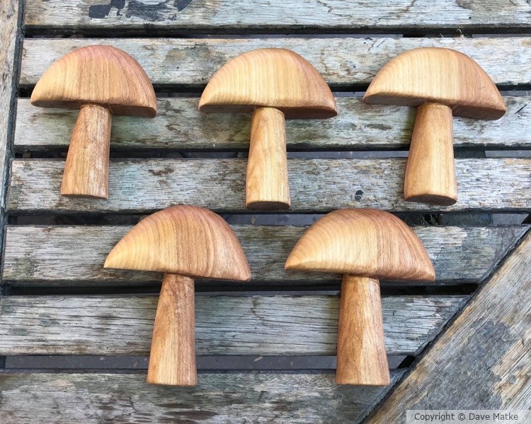 wooden mushrooms