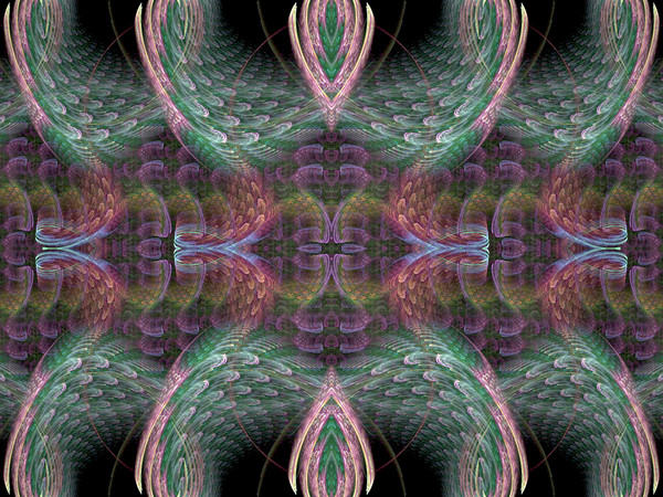 Dance of the Feathers