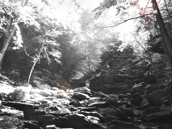the light