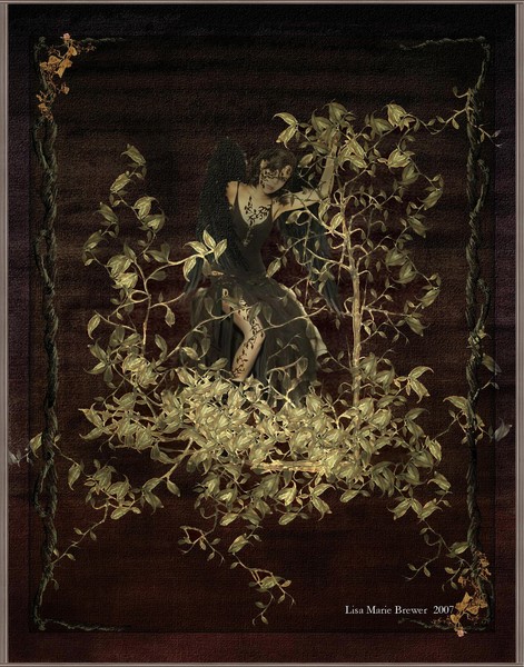 Beauty in the Dark
