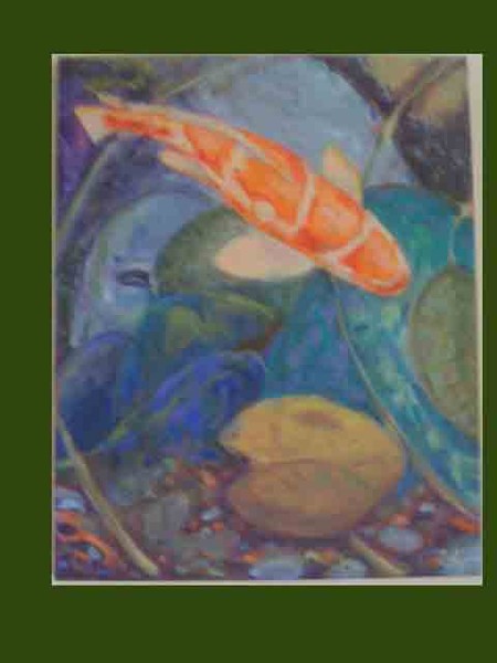 koi boy9