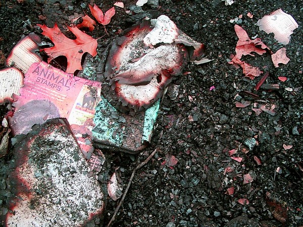 Fire Debris
