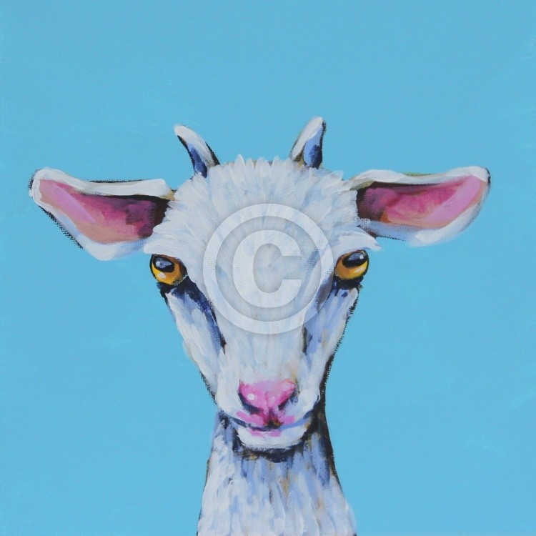 Little Goat