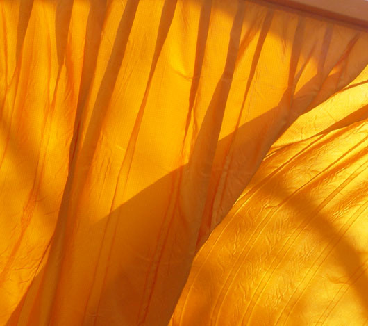 Study of Orange