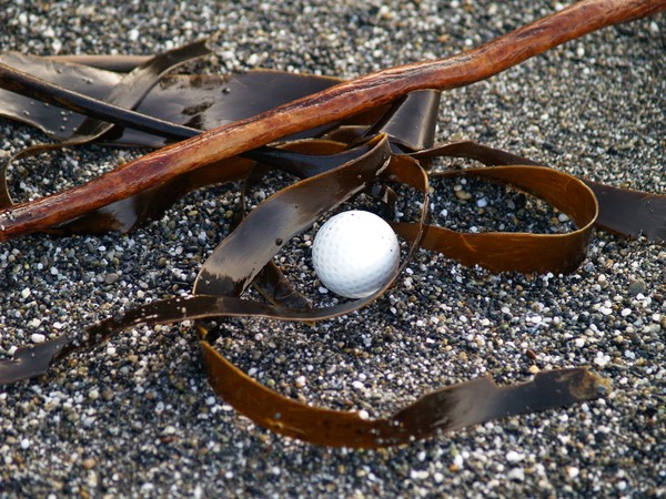 Beach Art III