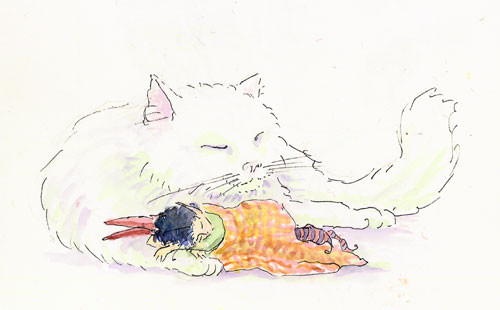 CatNap