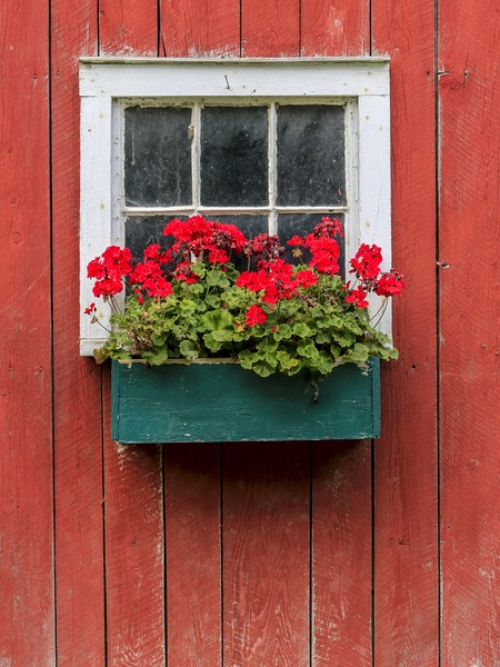 Red on Red