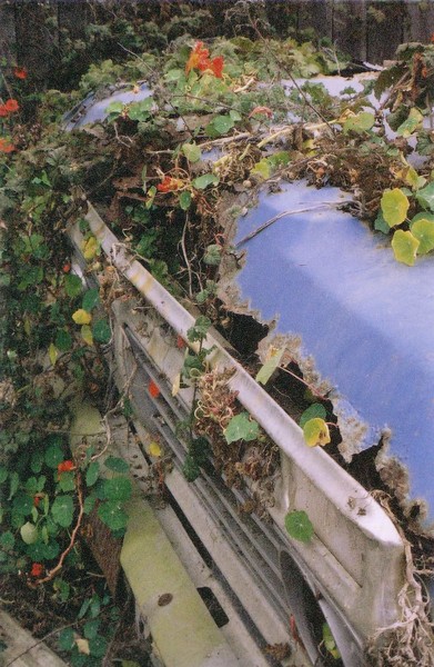 Flower Truck