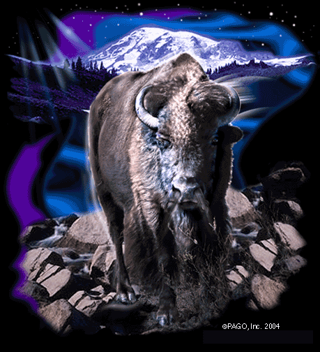 Buffalo