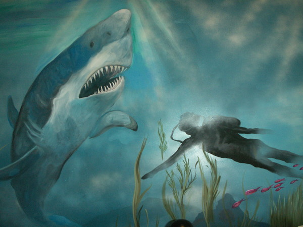 shark warning