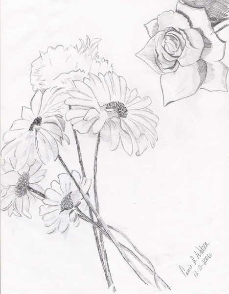 Flower Study