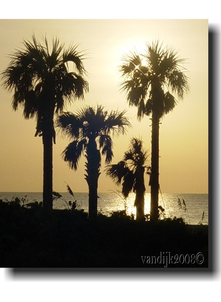 Morning has broken©
