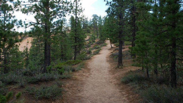 Trails along the canyon rim - Bryce Canyon, UT
