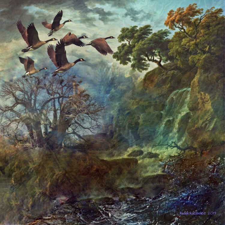 La Unión de la Naturaleza - Bondness of The Wild * 2019 Kiddolucaslee