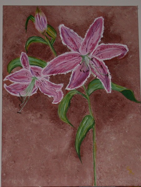 lily