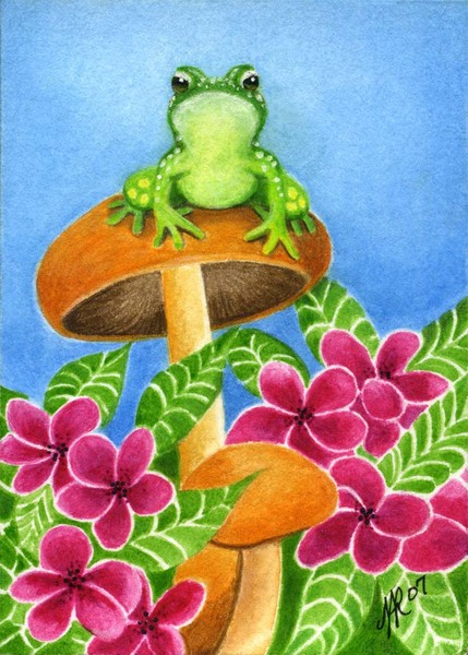 Hawaiian Frog by Tracey Riedel | ArtWanted.com