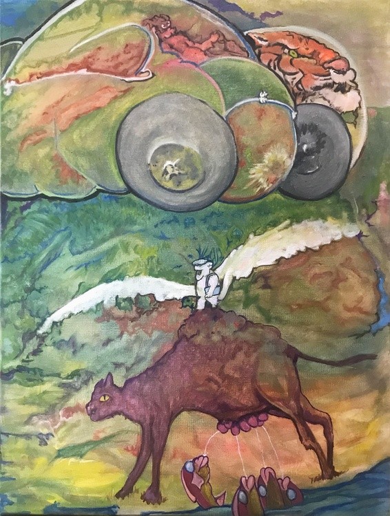 lookingatclouds