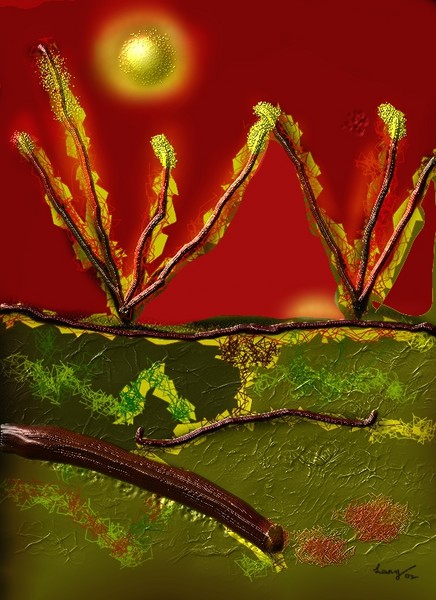 Desert Sun