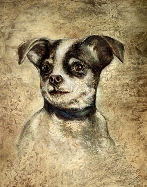 Dog