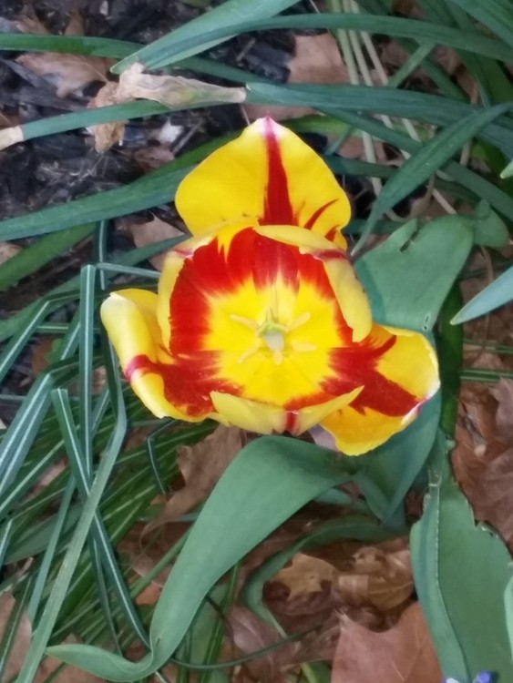 may 6 2019