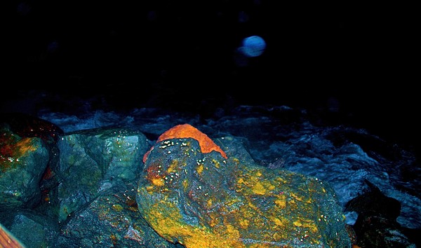 Alien Seascape