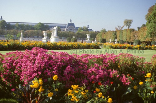 Tuileries Gardens, Paris