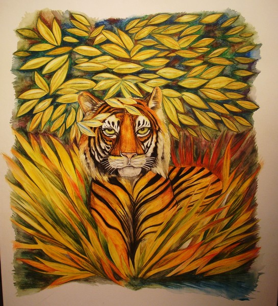 Tiger Tiger  