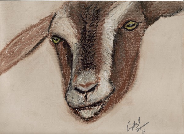 a goat for dad