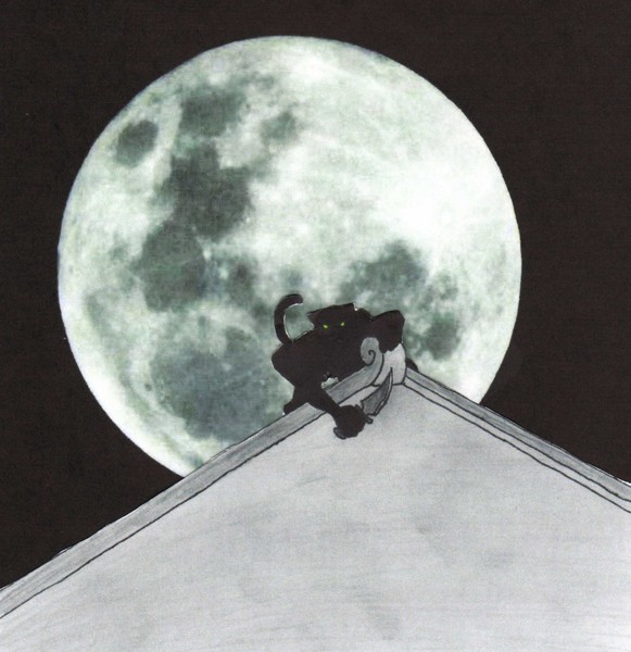 hunting by moon light