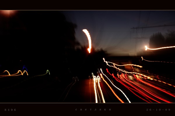 fireflies