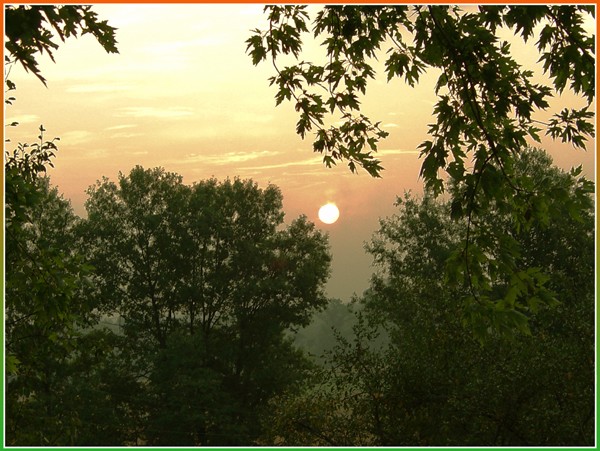 Misty August Morning