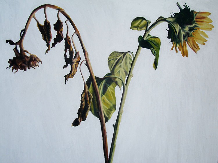 couple relationship sunflowers painting  by the israeli  artist raphael perez