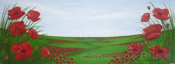 Through the Poppy Field