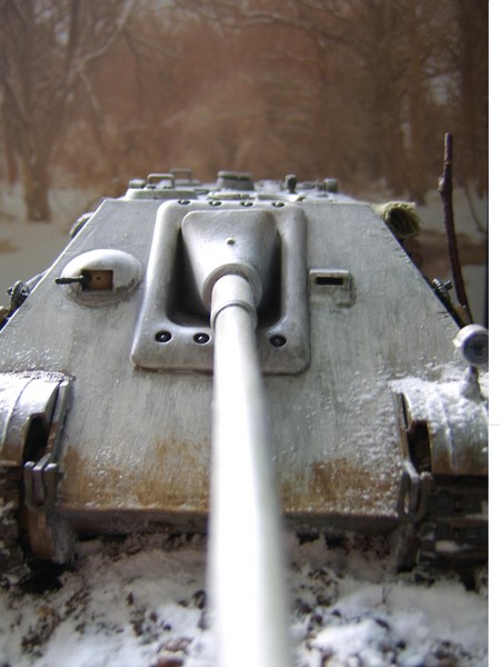 Panther in Russia