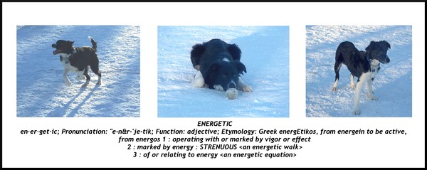 Menaka's tryptych