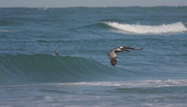 Landing