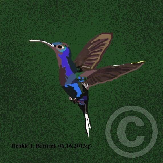 Humming Bird