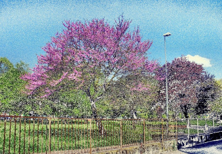 Good morning spring.