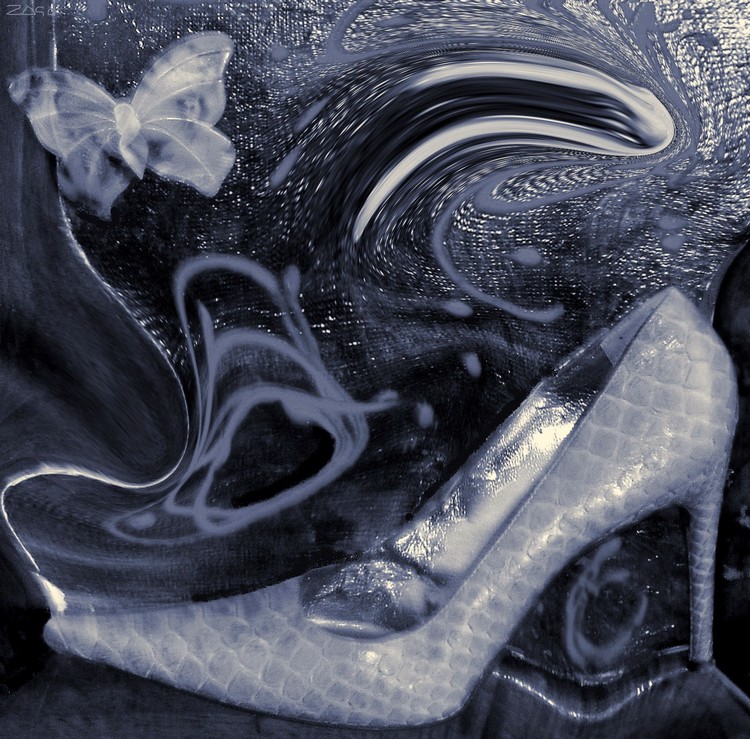 Cinderella's dream 