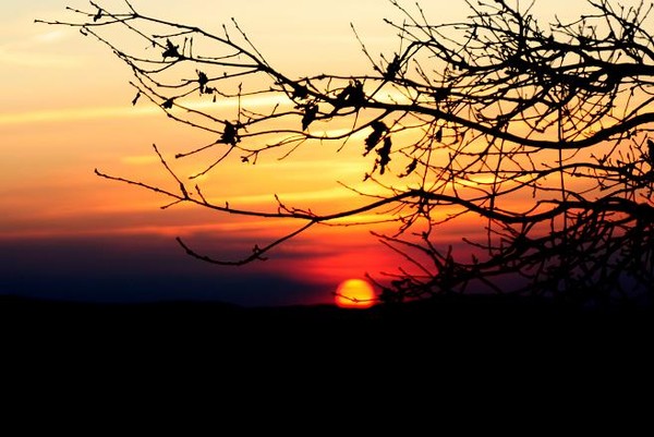Sunset in the background... 