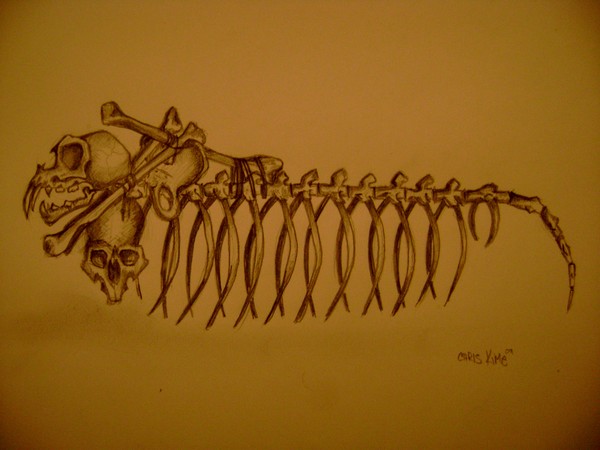 squirrel bone beard comb