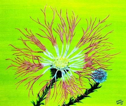 Thistle