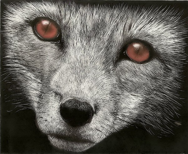 fox cropped